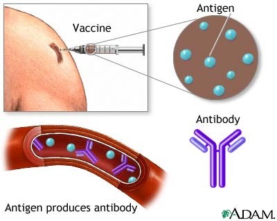 ANTIGEN