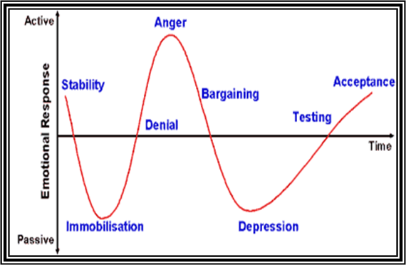 Emotional Response