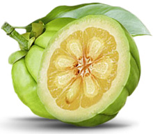 Garcinia cambogia