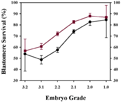 Pencairan_Embrio_1