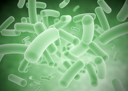 Quorum sensing -- a type of bacterial communication