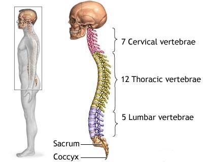 backpain